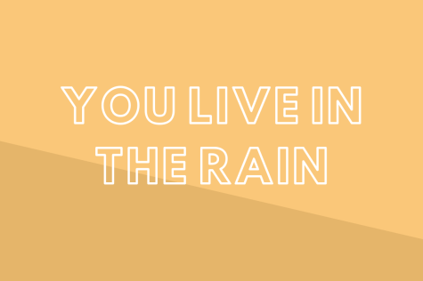 You Live In The Rain