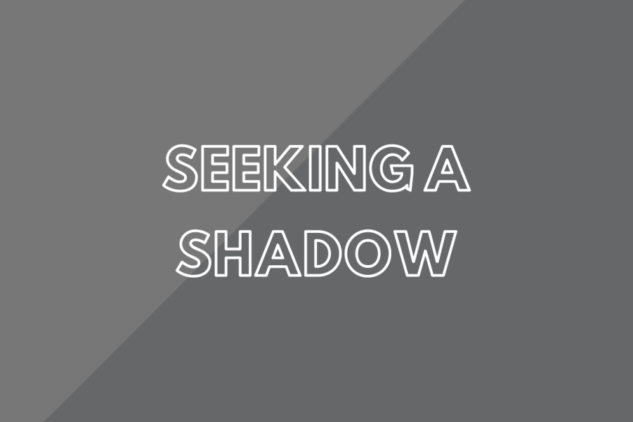 Seeking a Shadow