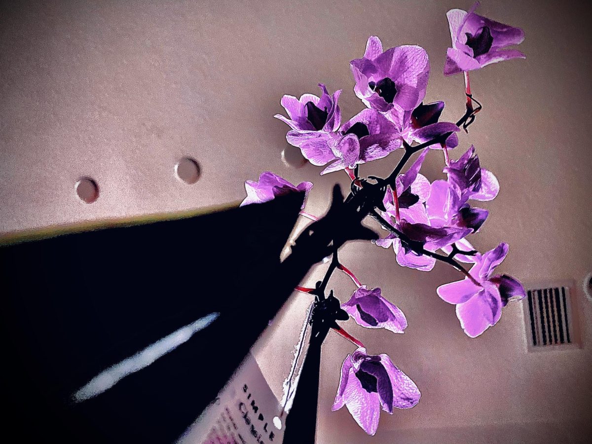 Orchids+In+View