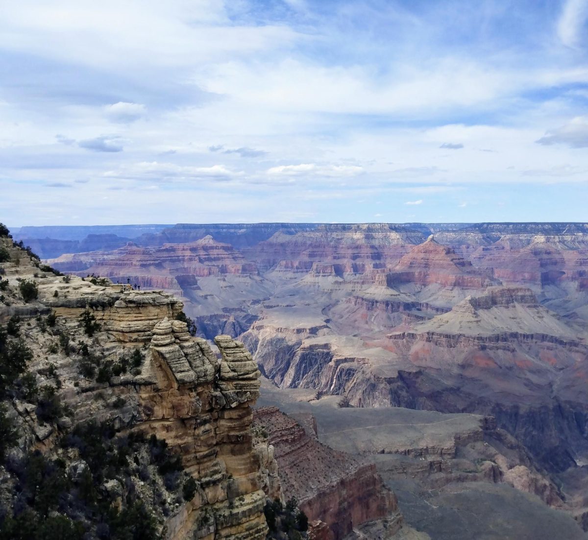 In the Canyon