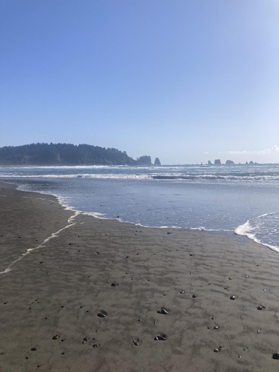 Sunshine at La Push