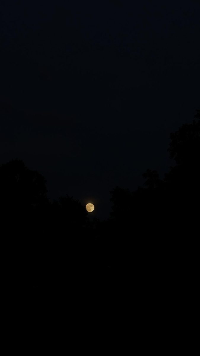 The Orange Moon