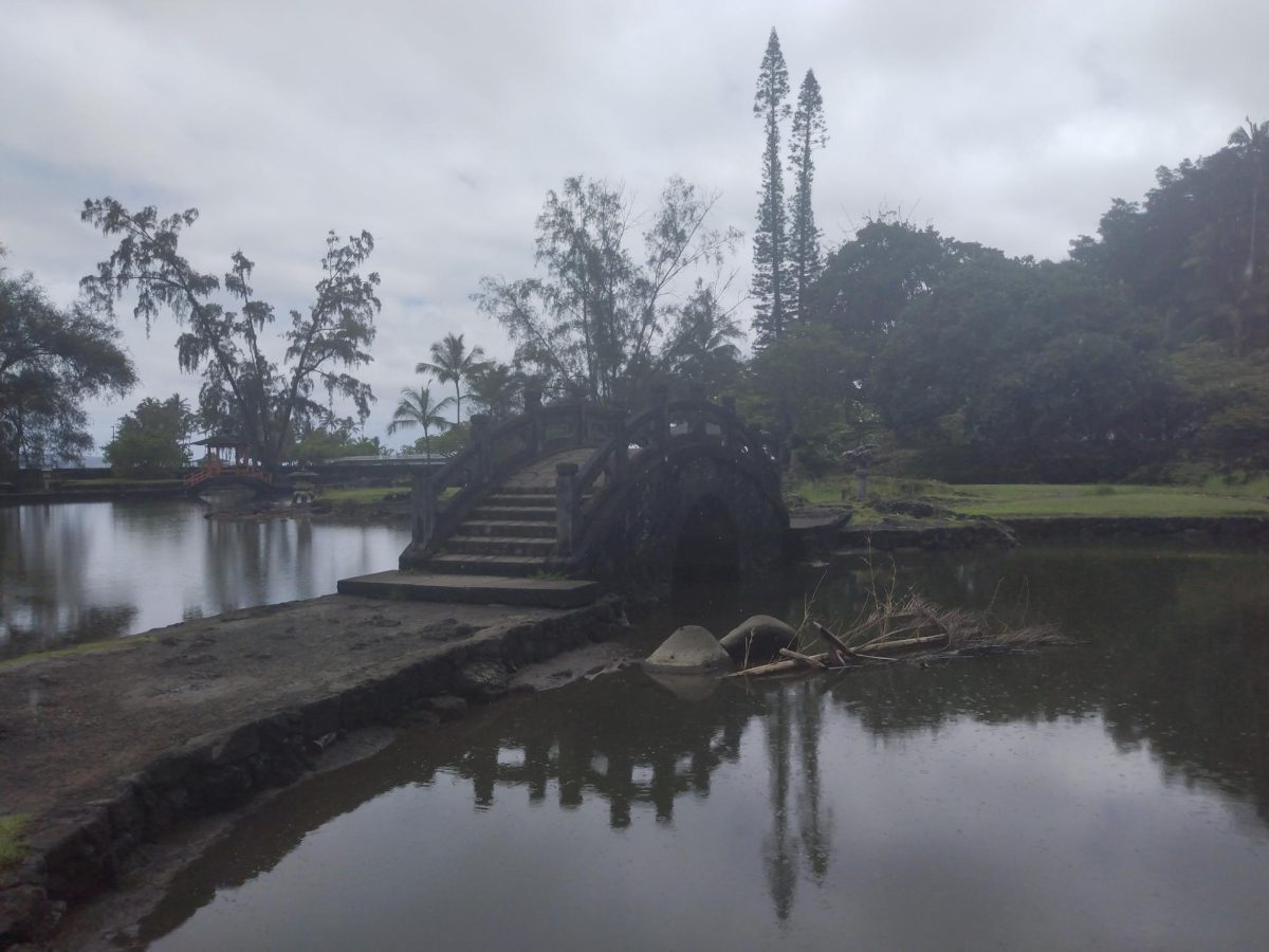 Rainy Japanese Garden