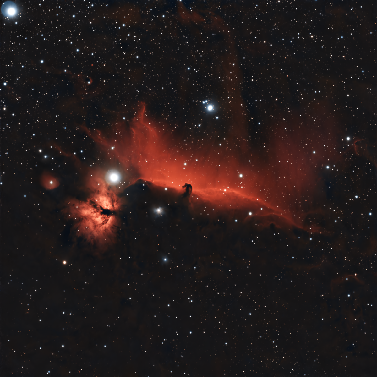 Horsehead and Flame Nebula in Hα