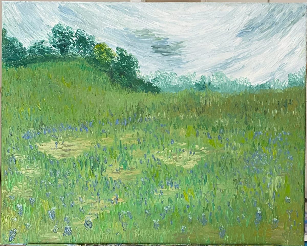 Bluebonnets