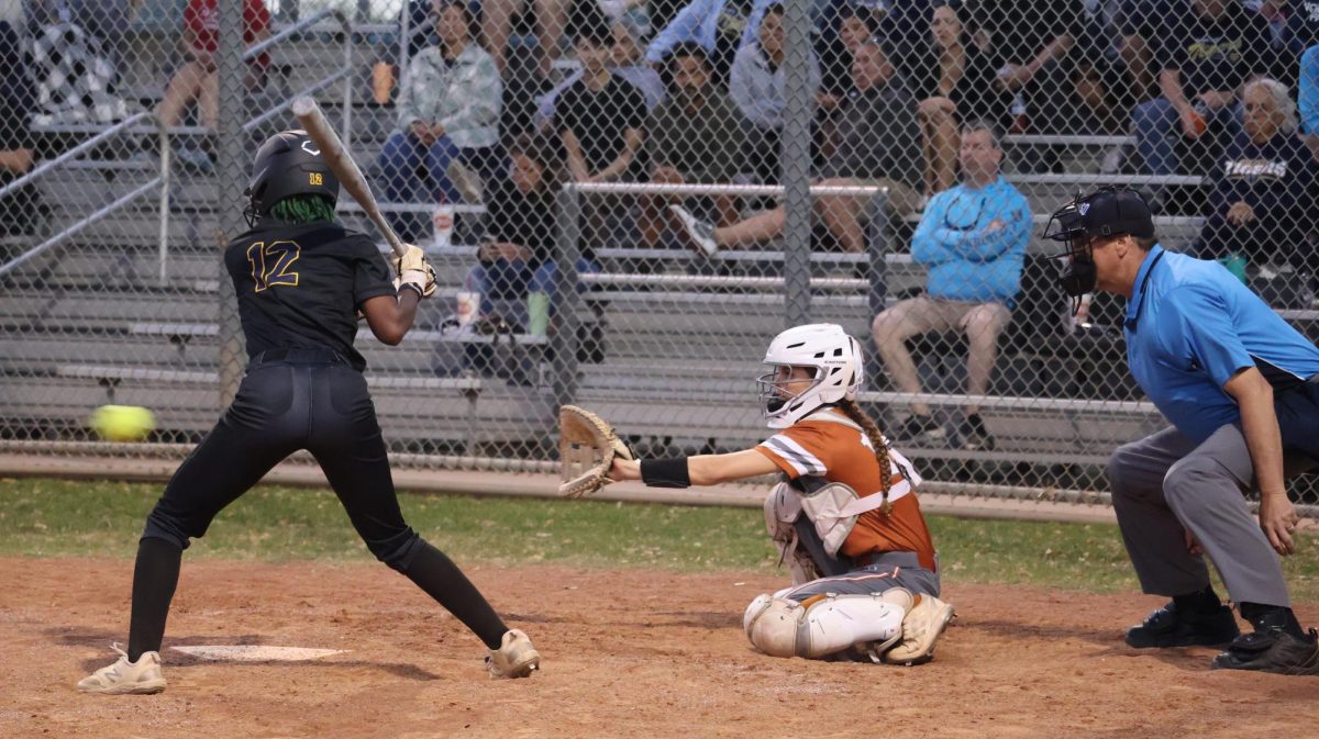 Softball Game