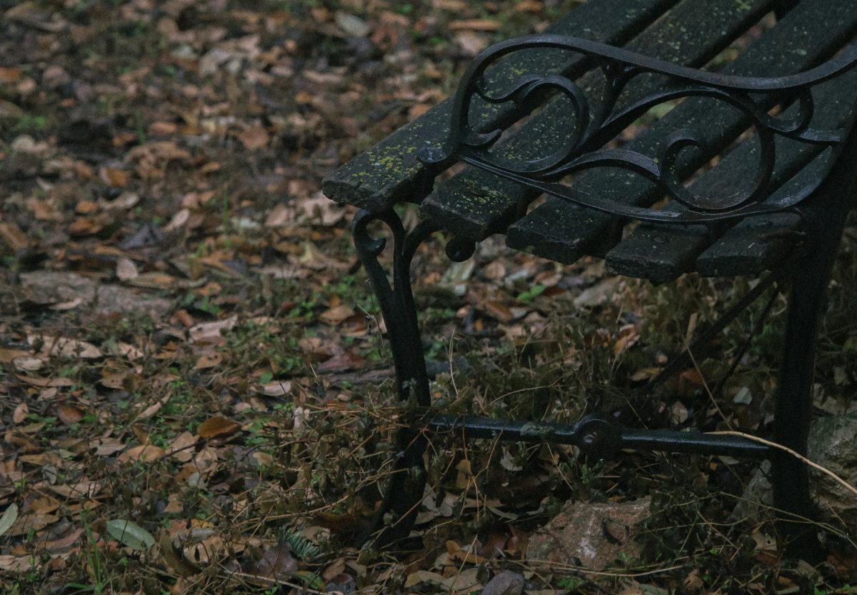 The Bench