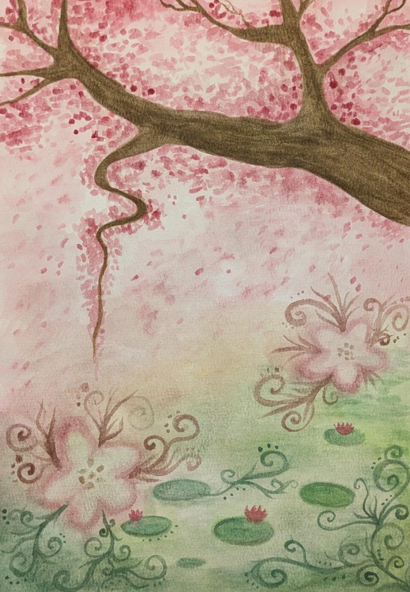 Cherry blossom