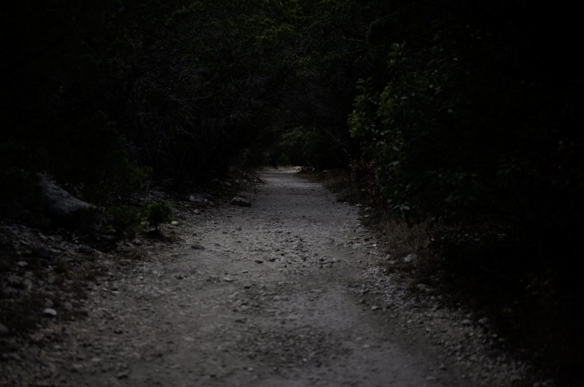 Dark Path