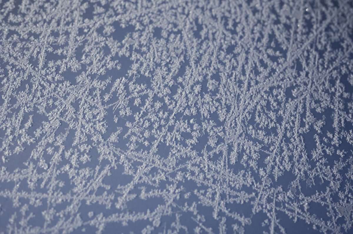 Snowflakes
